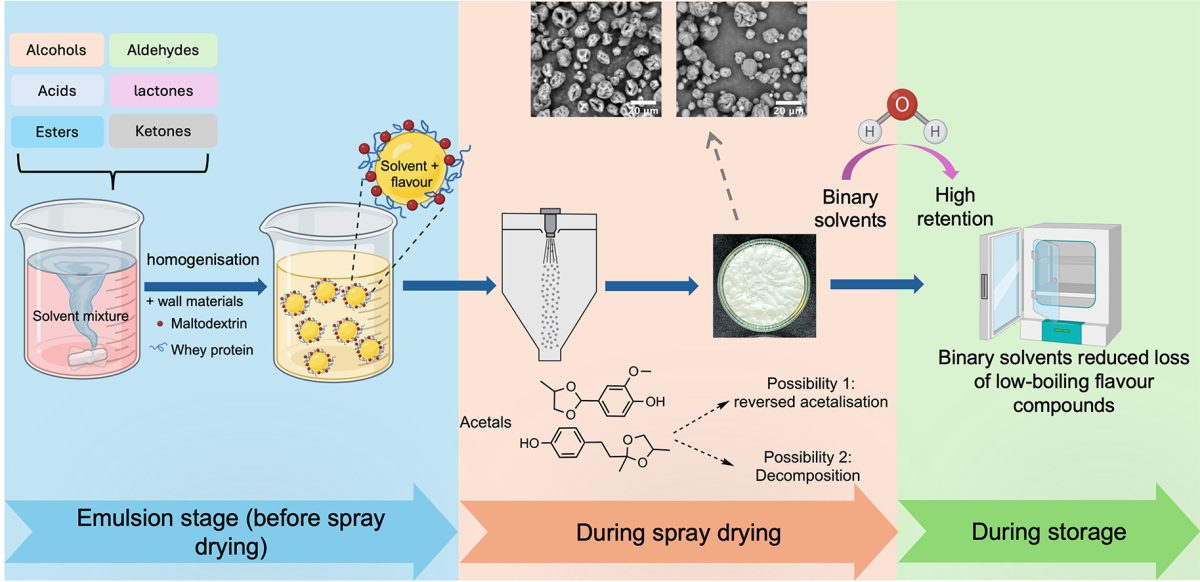 Enhancing volatile retention and storage stability for encapsulated raspberry flavour powder