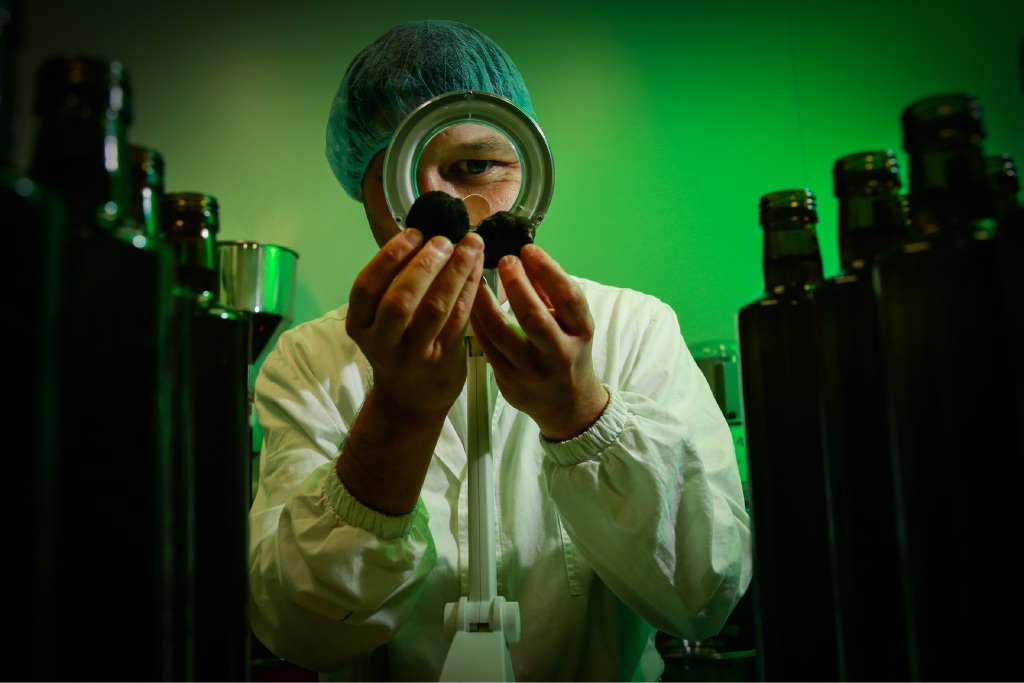 Laying the groundwork for Australian truffle industry expansion