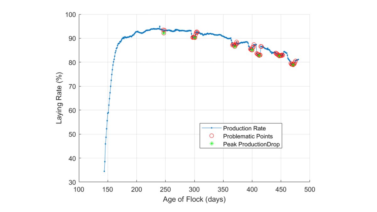 Analyzing the Risk of Short-Term Losses in Free-Range Egg Production Using Commercial Data