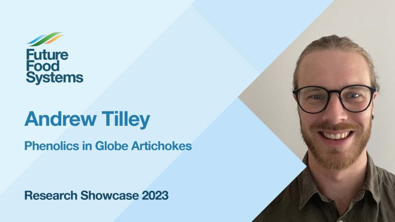 Phenolics in Globe Artichokes – Andrew Tilley (FFS Research Showcase 2023)