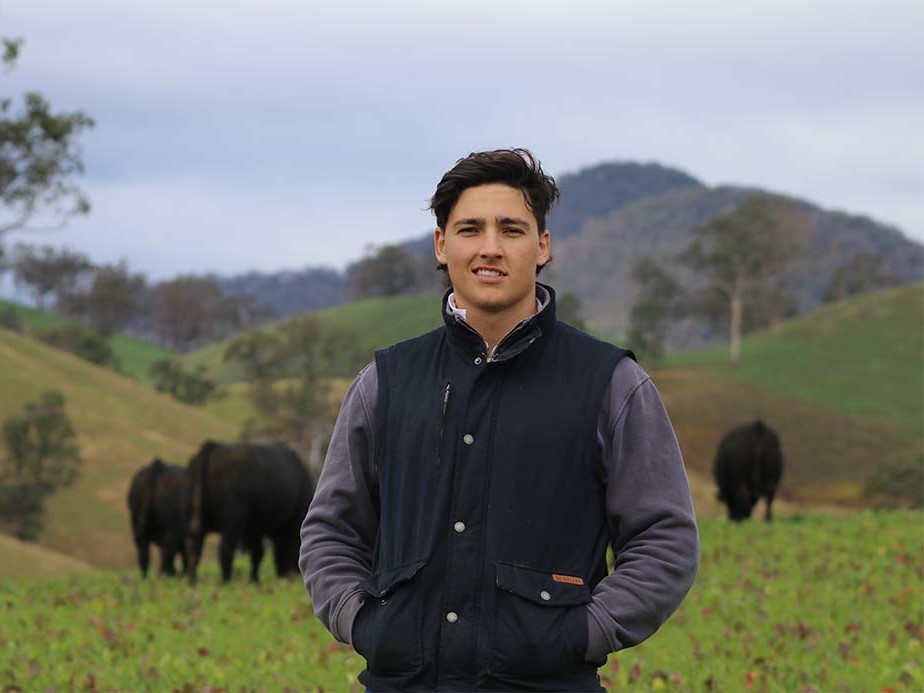 Angus Dingley, PhD student: Improving warm-zone raspberry cultivation