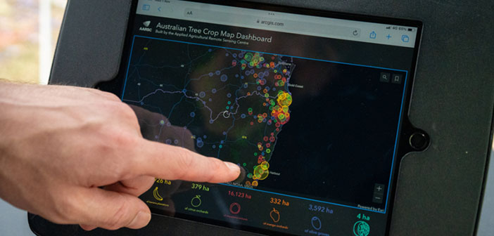 New technology makes biosecurity responses easier for fruit growers