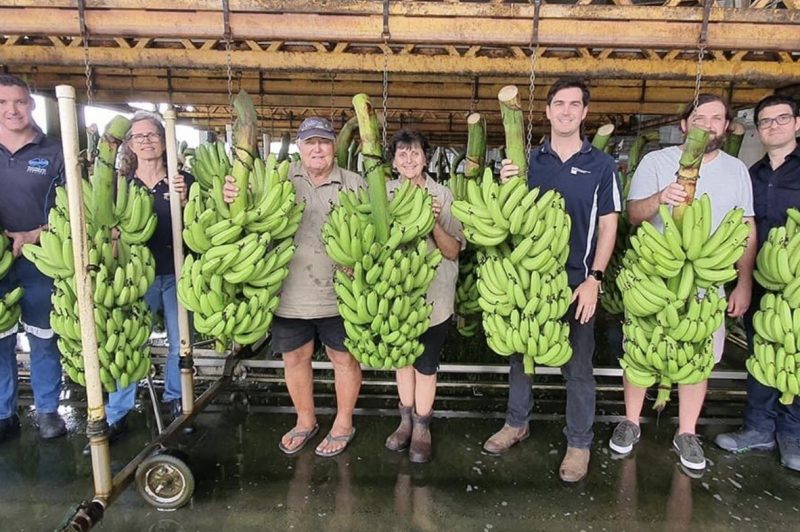 Using robotics to surmount labour challenges in commercial horticulture