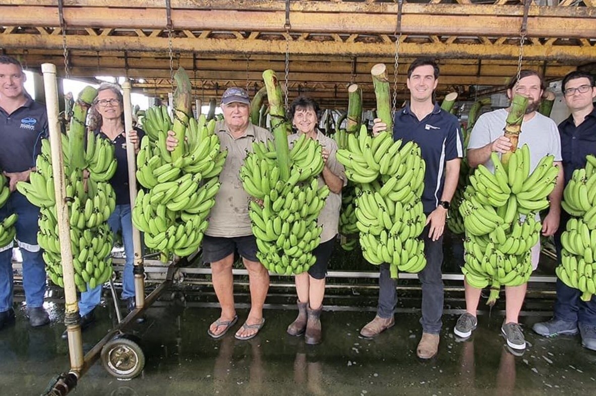 Using robotics to surmount labour challenges in commercial horticulture