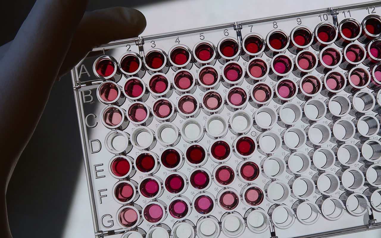 Smart packaging with colorimetric sensors for real-time food quality monitoring