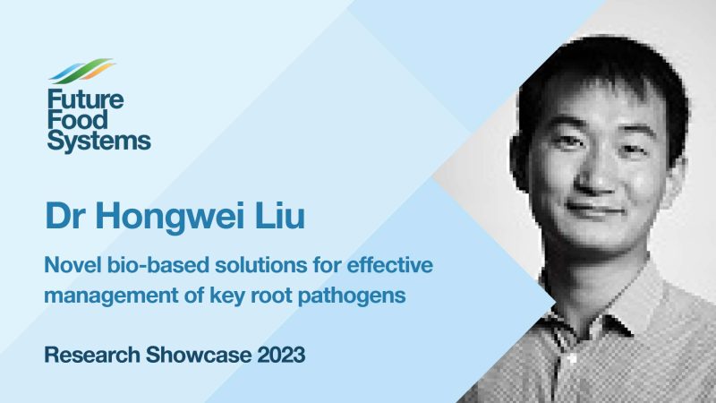 Novel bio-based solutions for effective management of key root pathogens – Dr Hongwei Liu (FFS Research Showcase 2023)