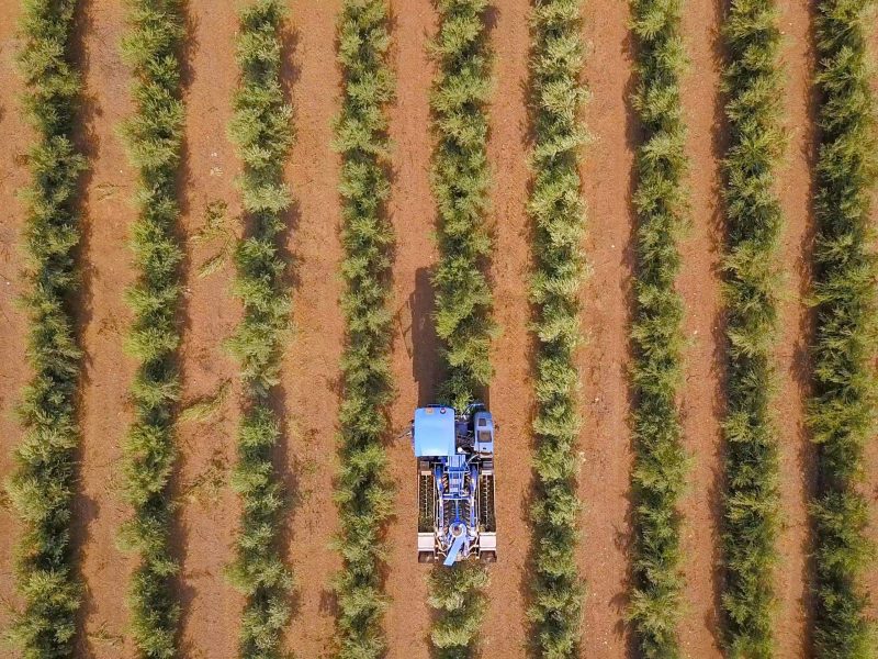 The good oil on remote sensing