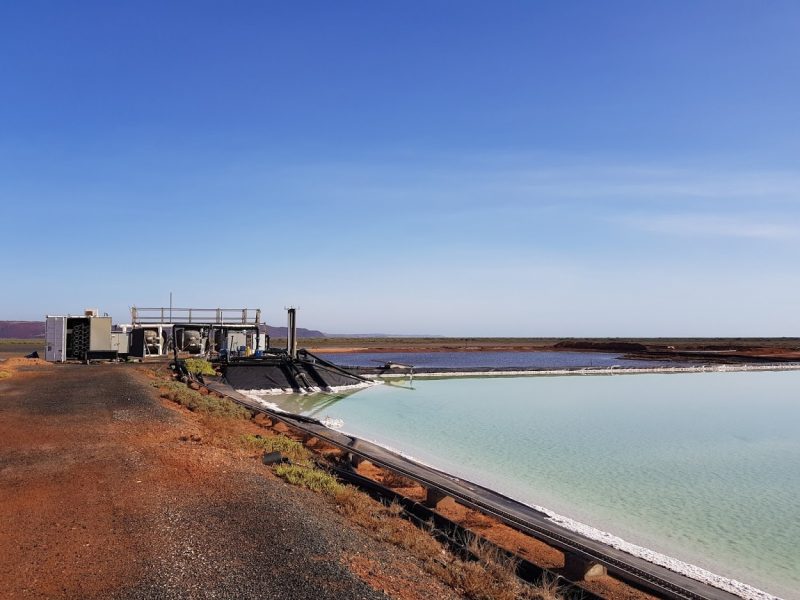 EcoMag, UNSW to upcycle agrifood waste into low-carbon construction material