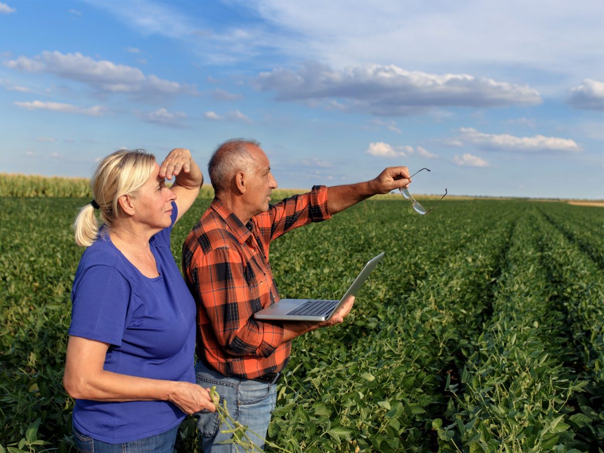 Putting Farmers at the Centre: realising gains from agricultural innovation and growth