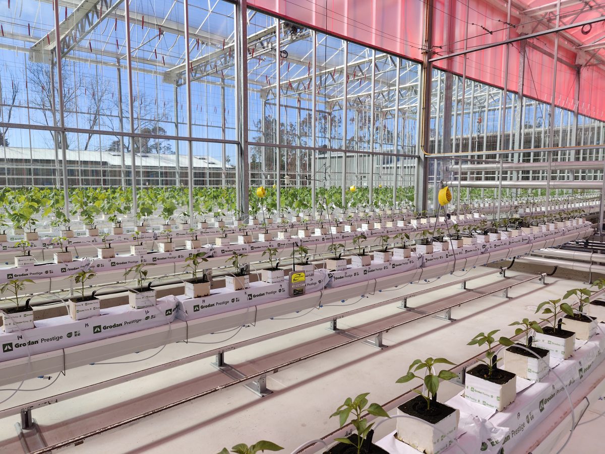 Energy saving films for smart greenhouses