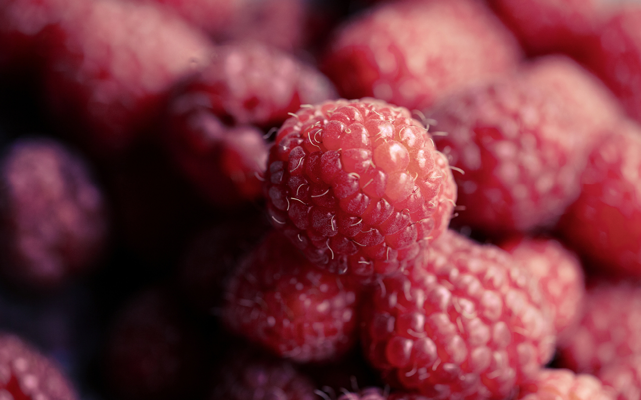 Supporting wild pollinators for resilient berry production