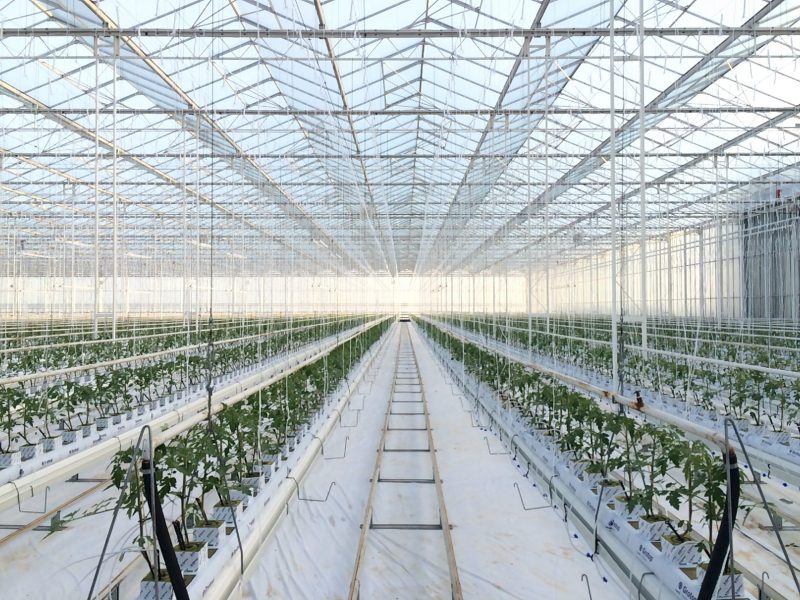 Smart mobile platform set to transform indoor pollination operations