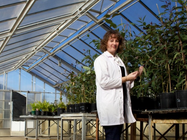Meet Kirsty Bayliss: plant disease expert