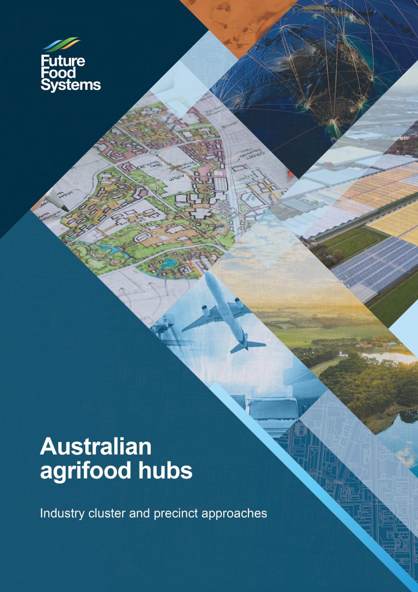 Specialised agrifood clusters: theory and practice