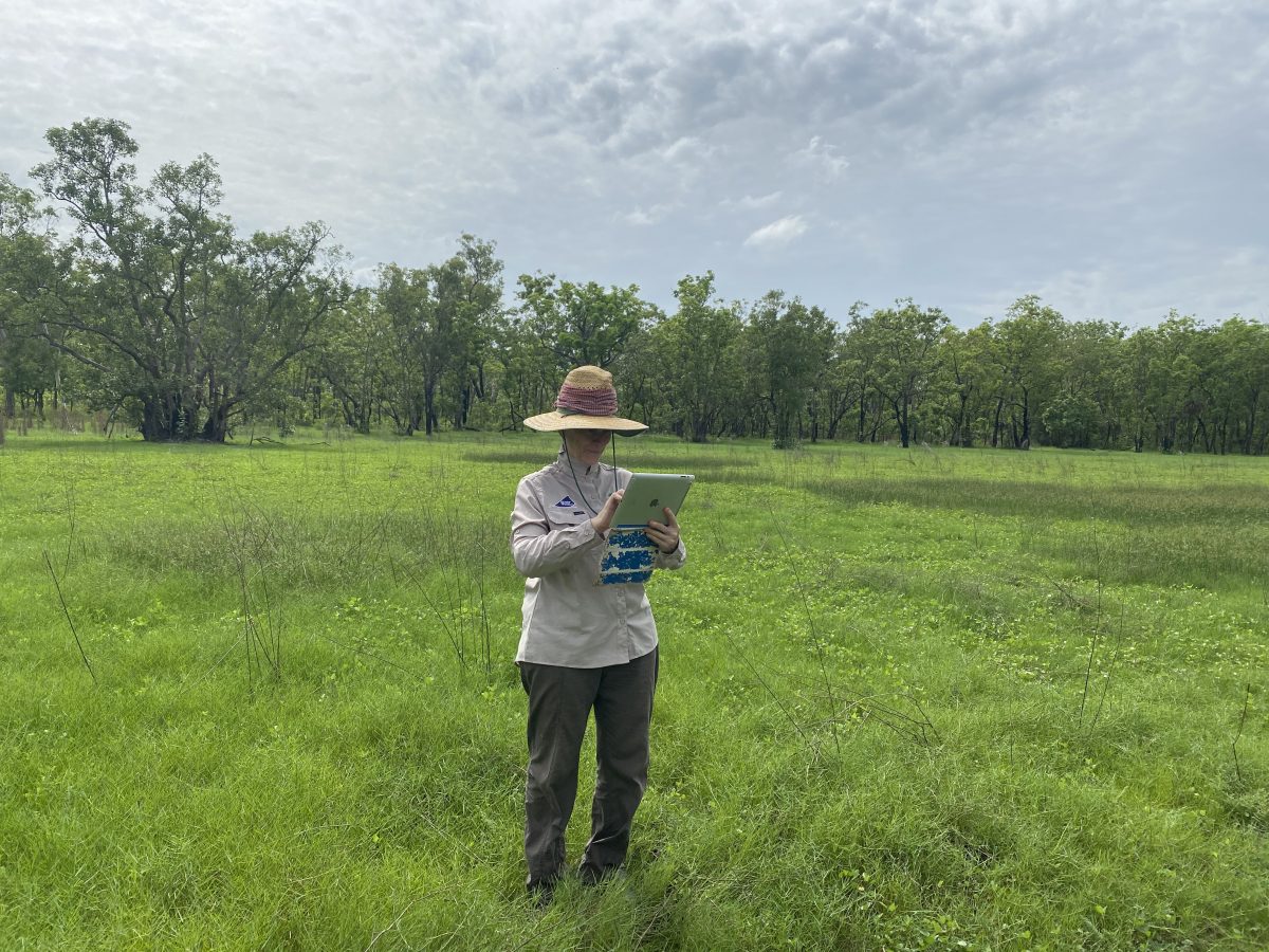 Commercialising native rice for Indigenous enterprise development