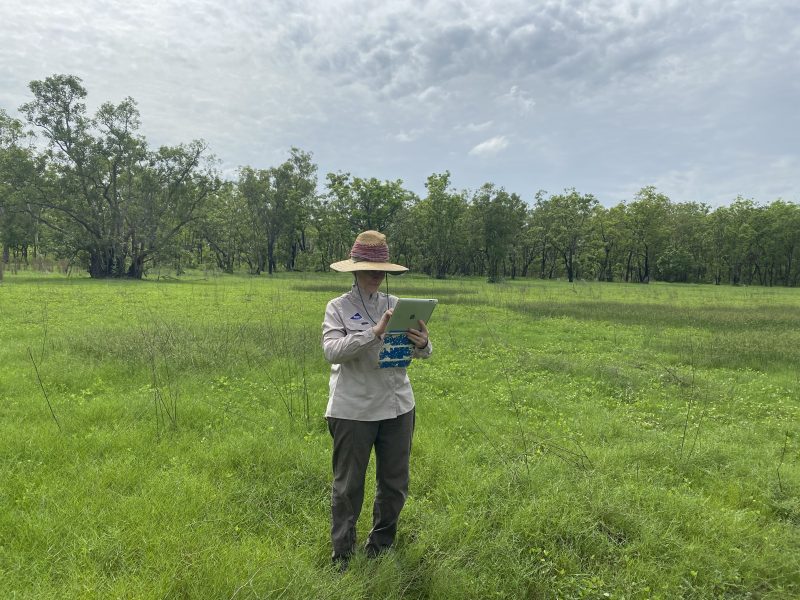 Commercialising native rice for Indigenous enterprise development