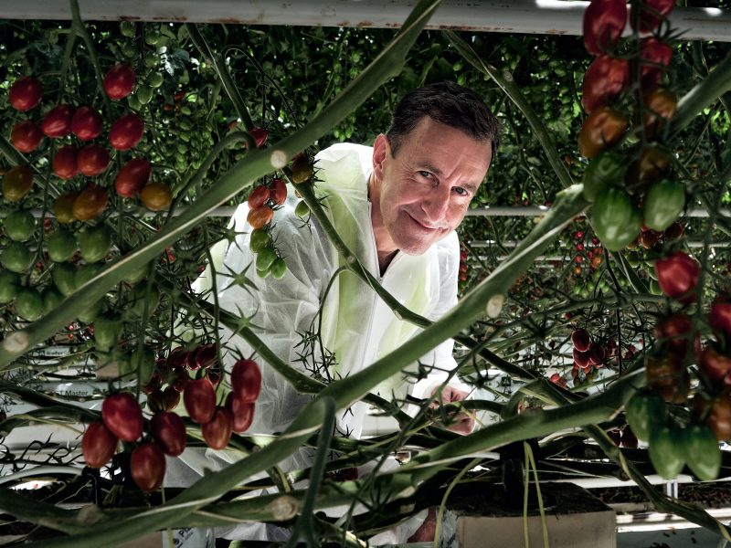 Tomato rhizobiome project features in <i>Greenhouse Canada</i>