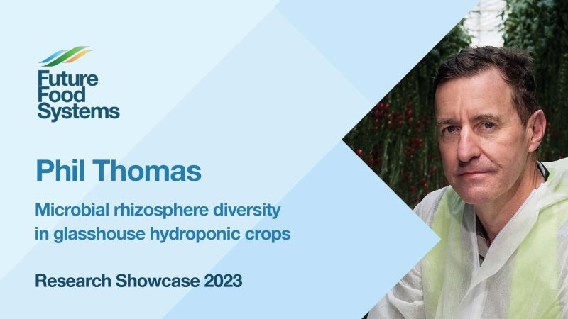 Microbial rhizosphere diversity in glasshouse hydroponic crops – Phil Thomas (FFS Research Showcase 2023)