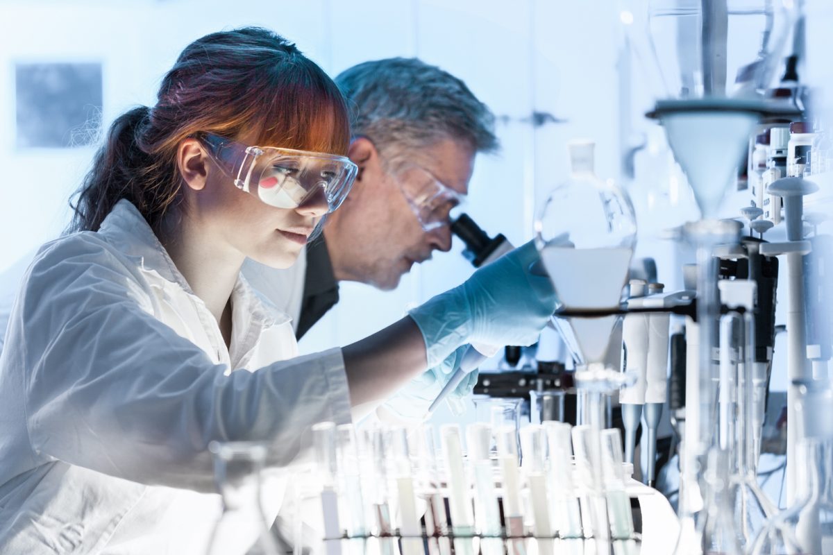 Improving plant proteins functionality and bioactivity