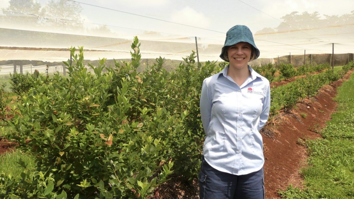 NSW Department of Primary Industries (NSW DPI) featured