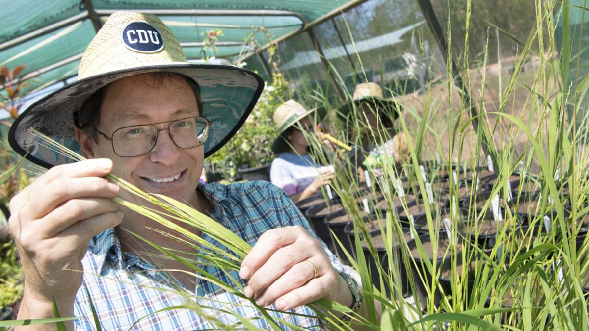 Charles Darwin University (CDU) featured