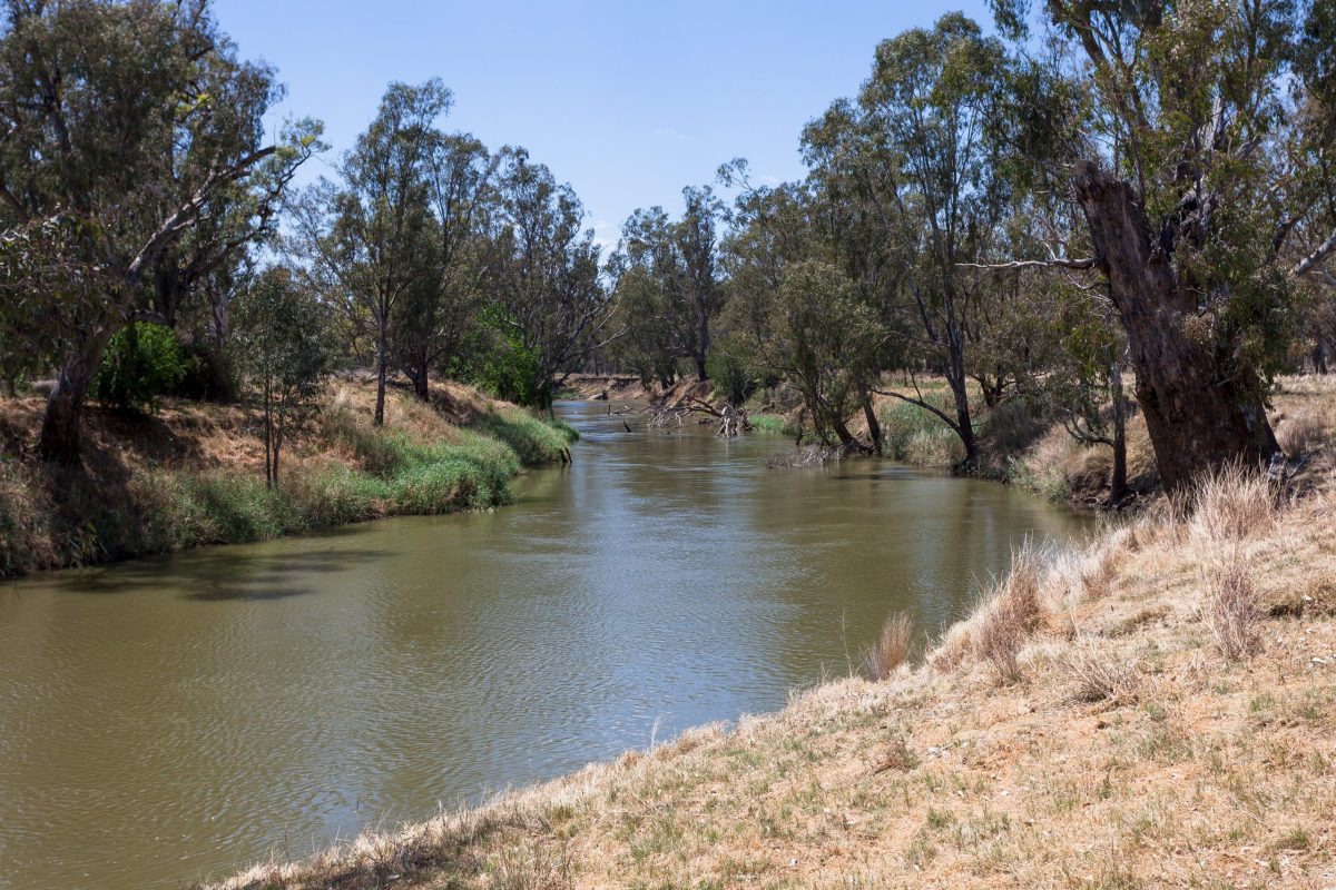 Smart agribusiness in the Namoi