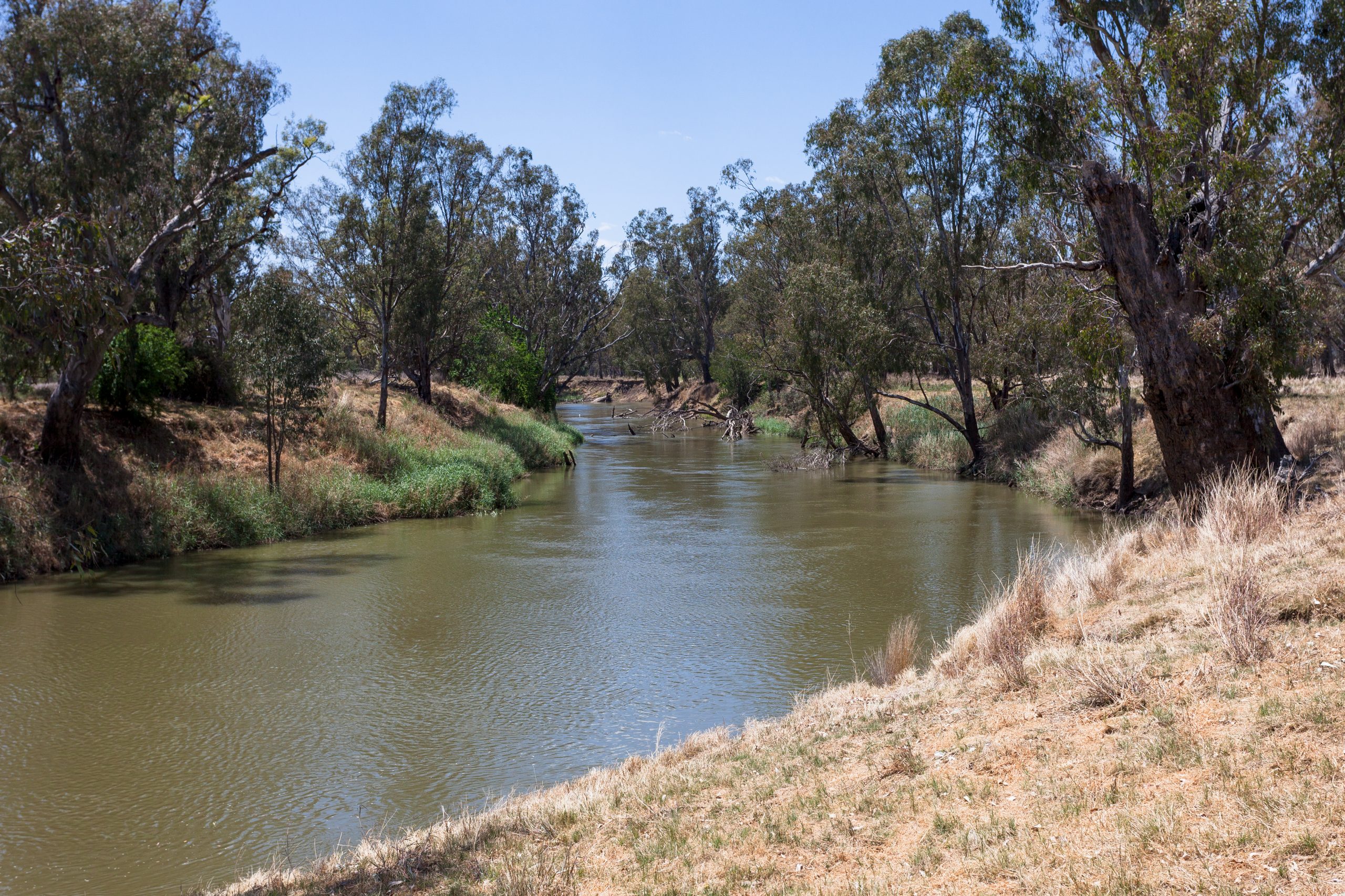 Smart agribusiness in the Namoi