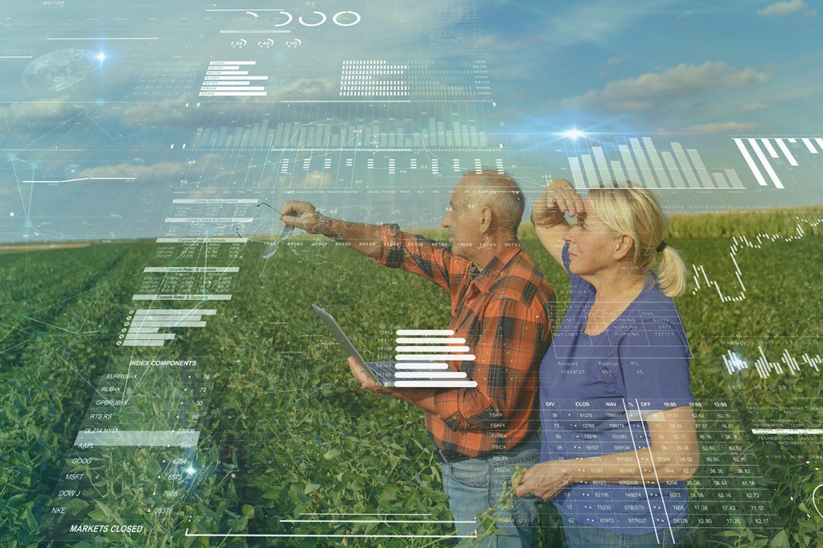 Growing the NSW agricultural economy: constraints and opportunities as perceived by farmers