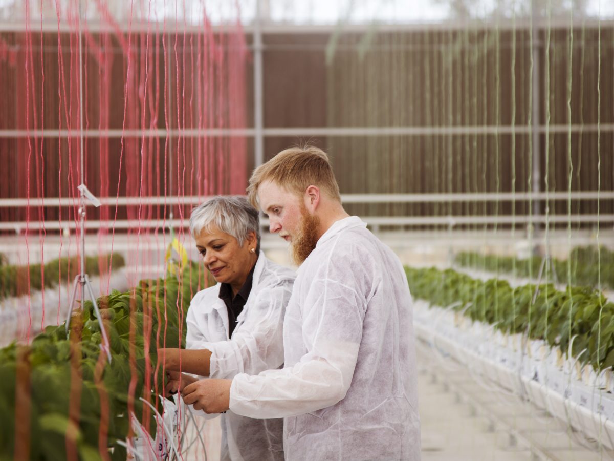 Meet Priti Krishna: sustainable cropping expert