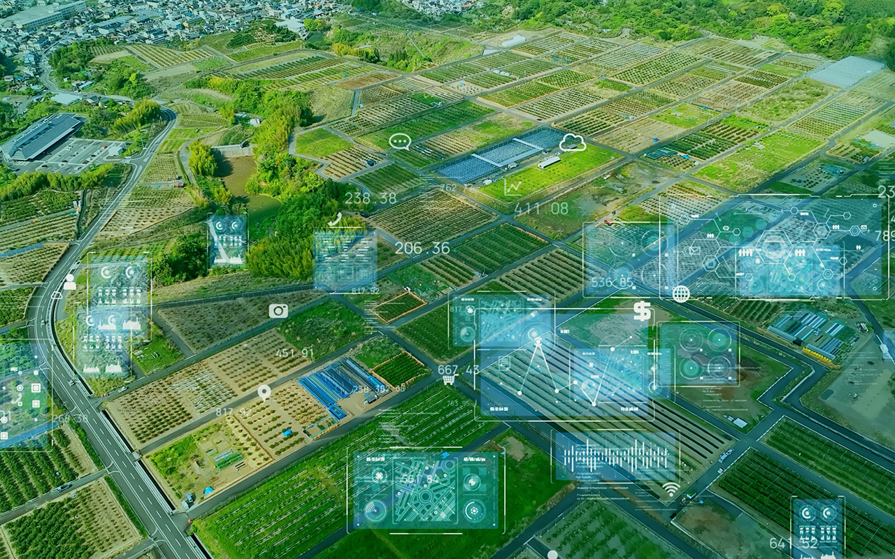 Drivers of sustainable plant-based protein production