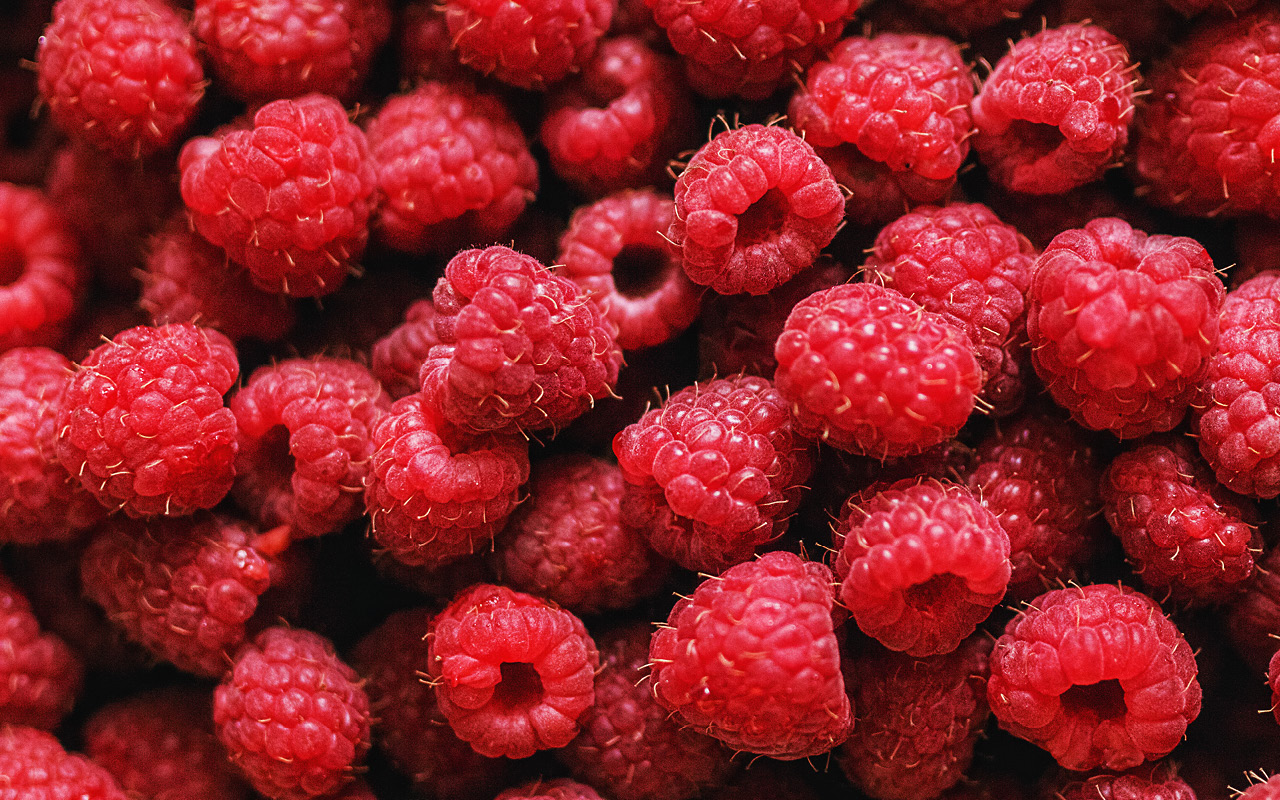 Improving warm-zone raspberry cultivation