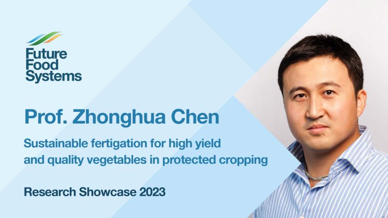 Sustainable fertigation for high yield and quality vegetables in PC – Prof. Zhonghua Chen (FFS Research Showcase 2023)