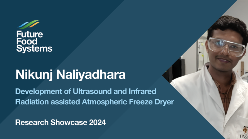 Nikunj Naliyadhara – Development of Ultrasound and Infrared Radiation assisted Atmospheric Freeze Dryer (Research Showcase 2024)